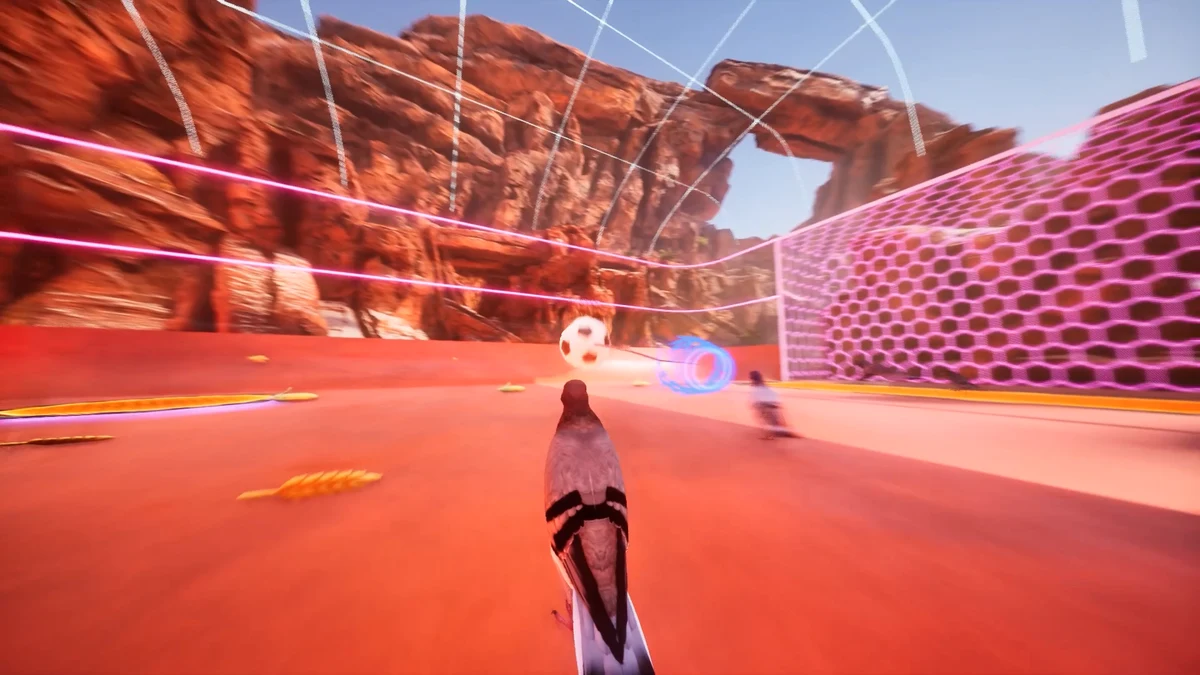 Pass — actual Pigeon Ball gameplay