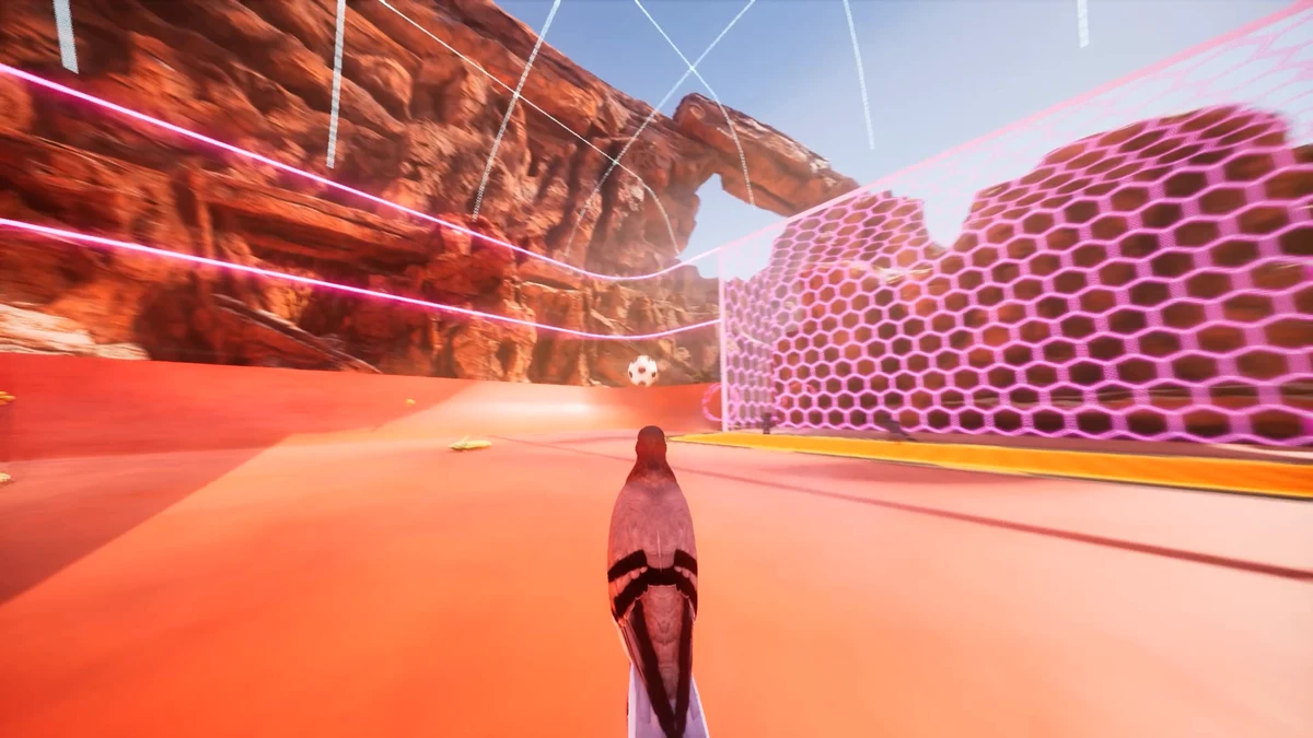 Pigeon Ball gameplay