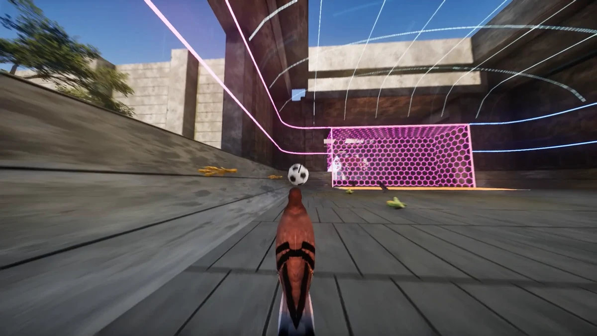 Pigeon Ball gameplay