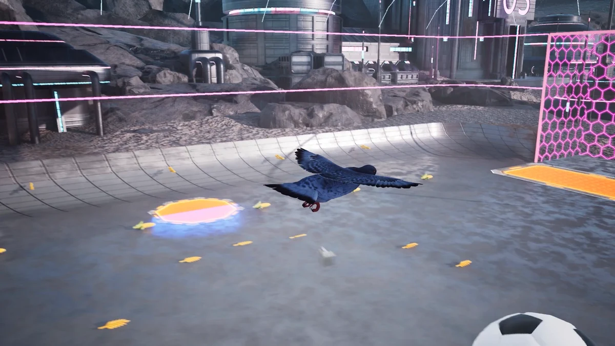 Fly — actual Pigeon Ball gameplay